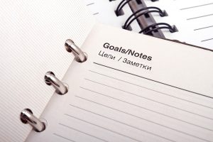 Why are Business Goals Important