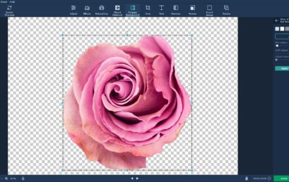 How to Make an Image Background Transparent in Minutes
